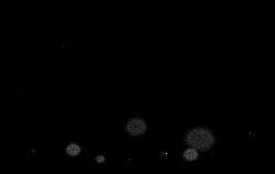 風尚論壇老師專用特效圖片 (1).gif