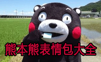熊本熊表情包大全