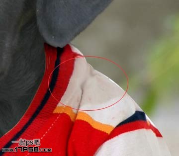 �������´��ڞg�[�DƬ