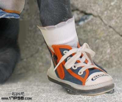 �������´��ڞg�[�DƬ